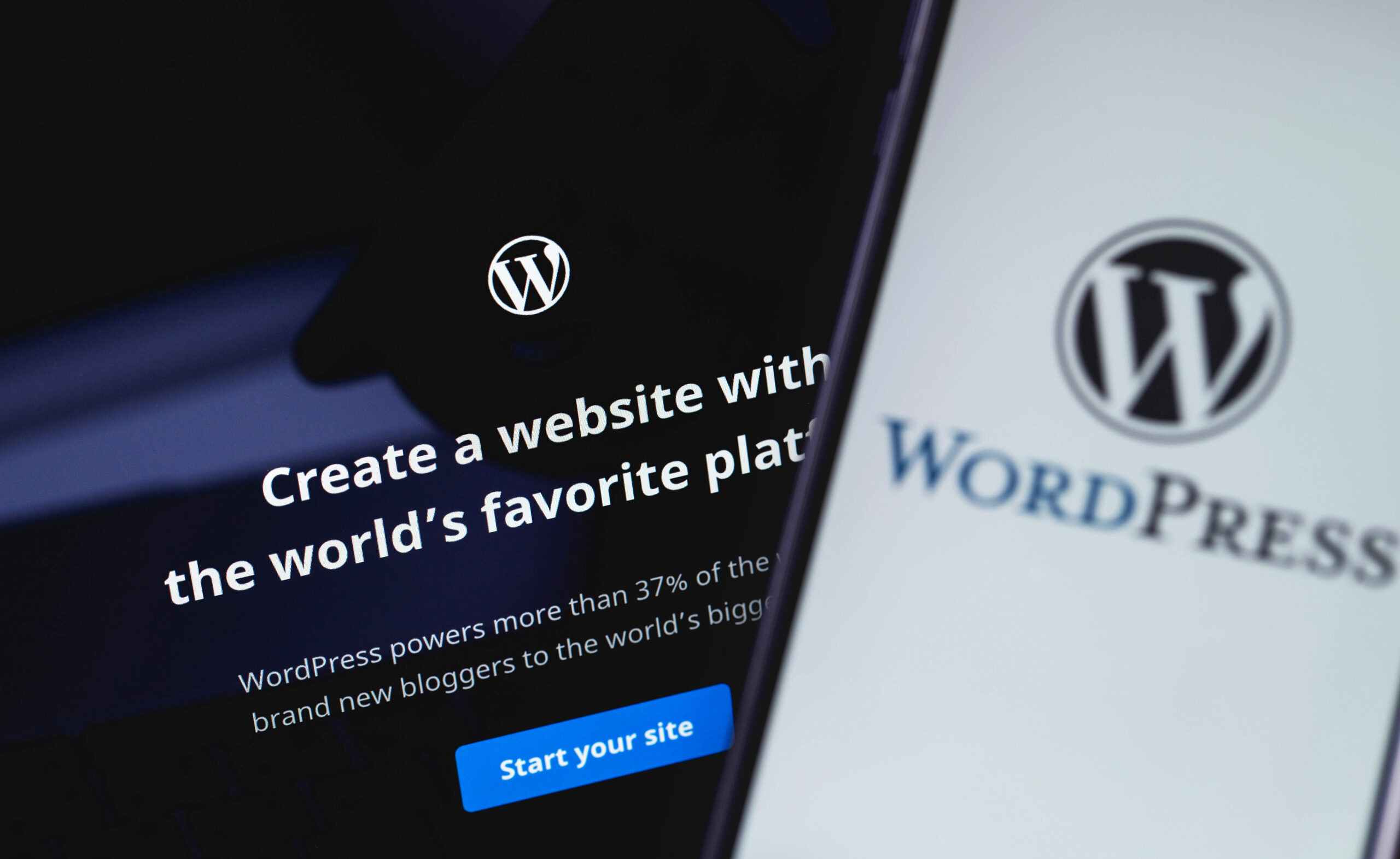WordPress web page